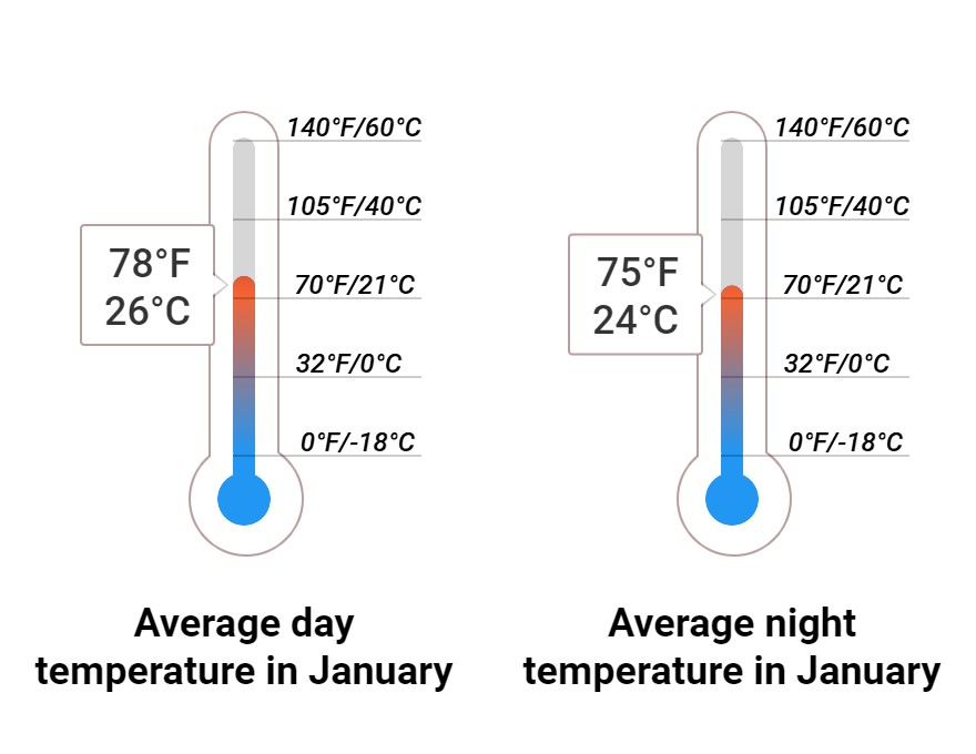 What to do in January in The Cayman Islands 2026 Winter Sun Expert What to do in January in The Cayman Islands 2026 Winter Sun Expert